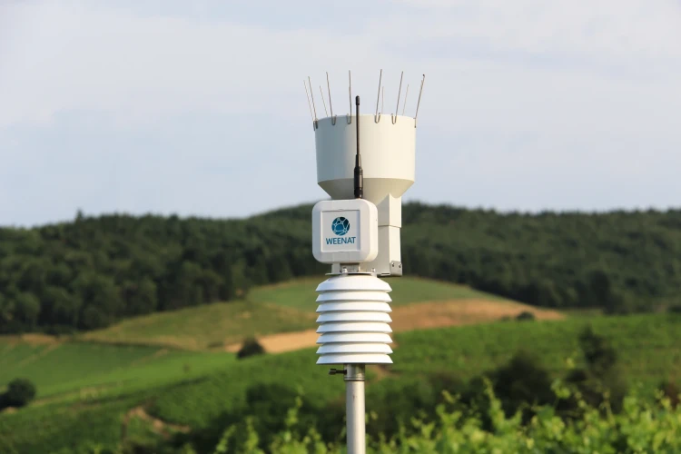 Weather_station_Weenat_.webp
