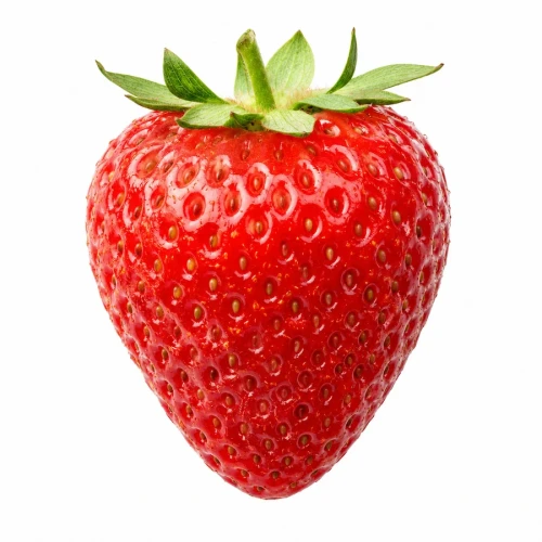 farmportal.sklep-model-chorobowy-truskawka.webp