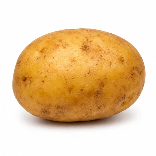 farmportal.sklep-model-chorobowy-ziemniak.webp