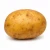 farmportal.sklep-model-chorobowy-ziemniak.webp