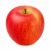 sklep.farmportal-modele-chorobowe-jabłoń.webp