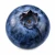 farmportal.sklep-modele-chorobowe-borowki.webp