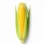 farmportal.sklep-model-chorobowy-kukurydzy.webp