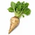 FarmPortal-model-chorobowy-dla-buraka-cukrowego.webp