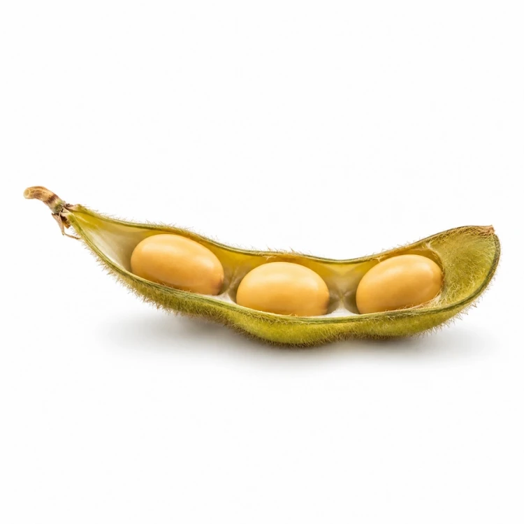 FarmPortal.sklep-modele-chorobowe-dla-soi.webp
