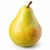FarmPortal-sklep-modele-chorobowe-grusza.webp