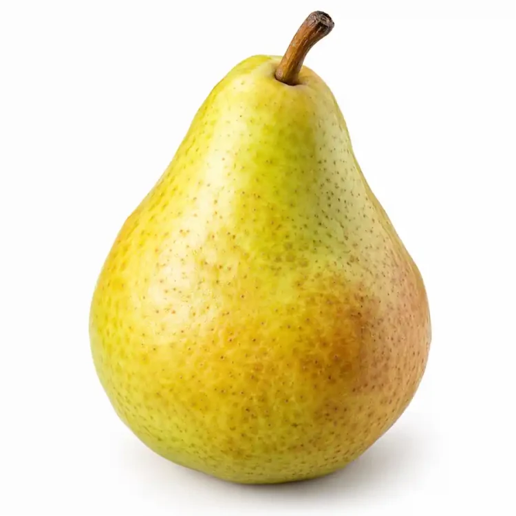 FarmPortal-sklep-modele-chorobowe-grusza.webp