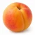 FarmPortal.sklep-modele-chorobowe-dla-moreli.webp