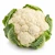 FarmPortal.sklep-modele-chorobowe-dla-kalafiora.webp