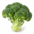 FarmPortal.sklep-modele-chorobowe-dla-brokula.webp