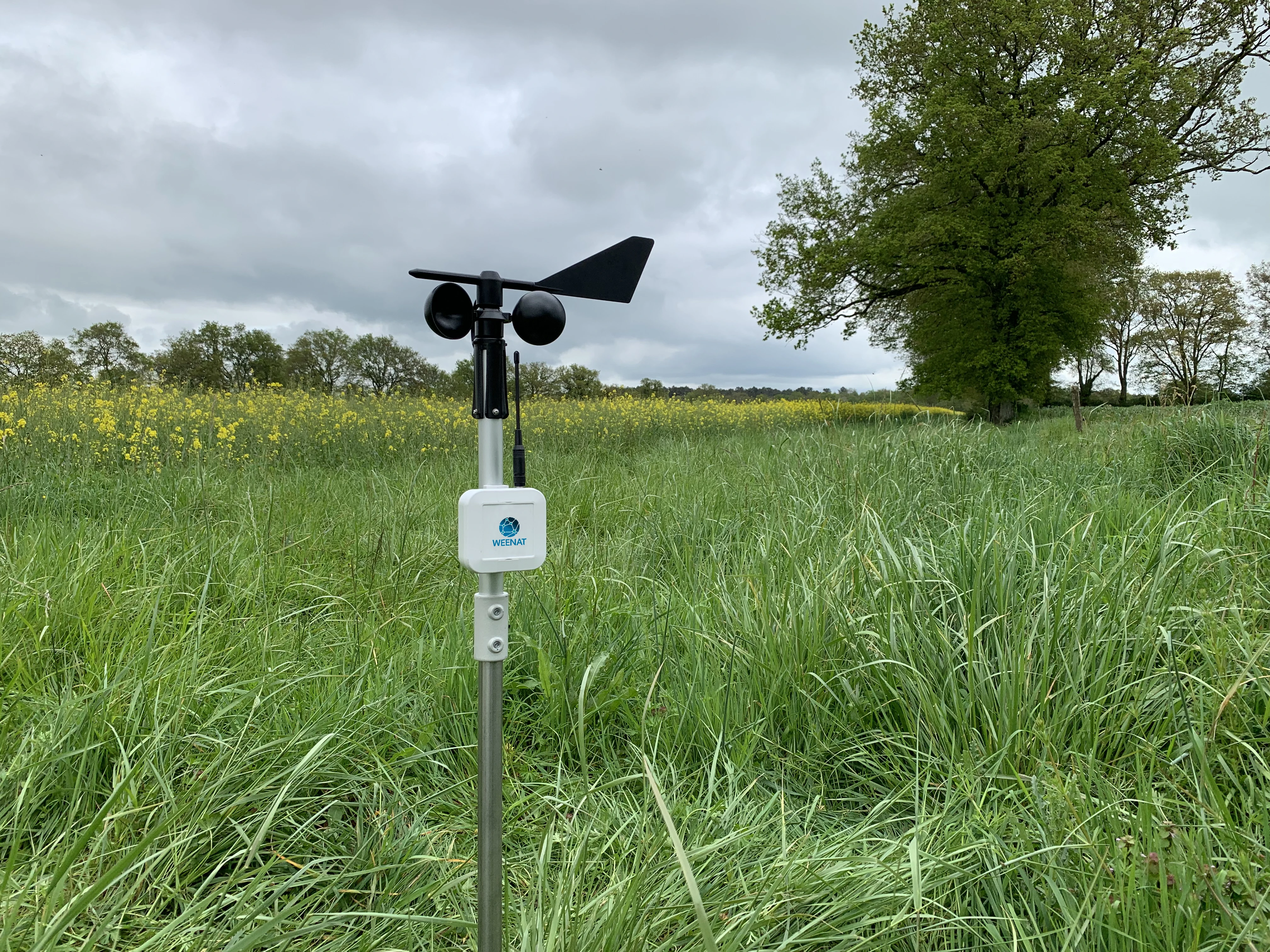 Weenat wiatromierz czujnik prędkości i kierunku wiatru